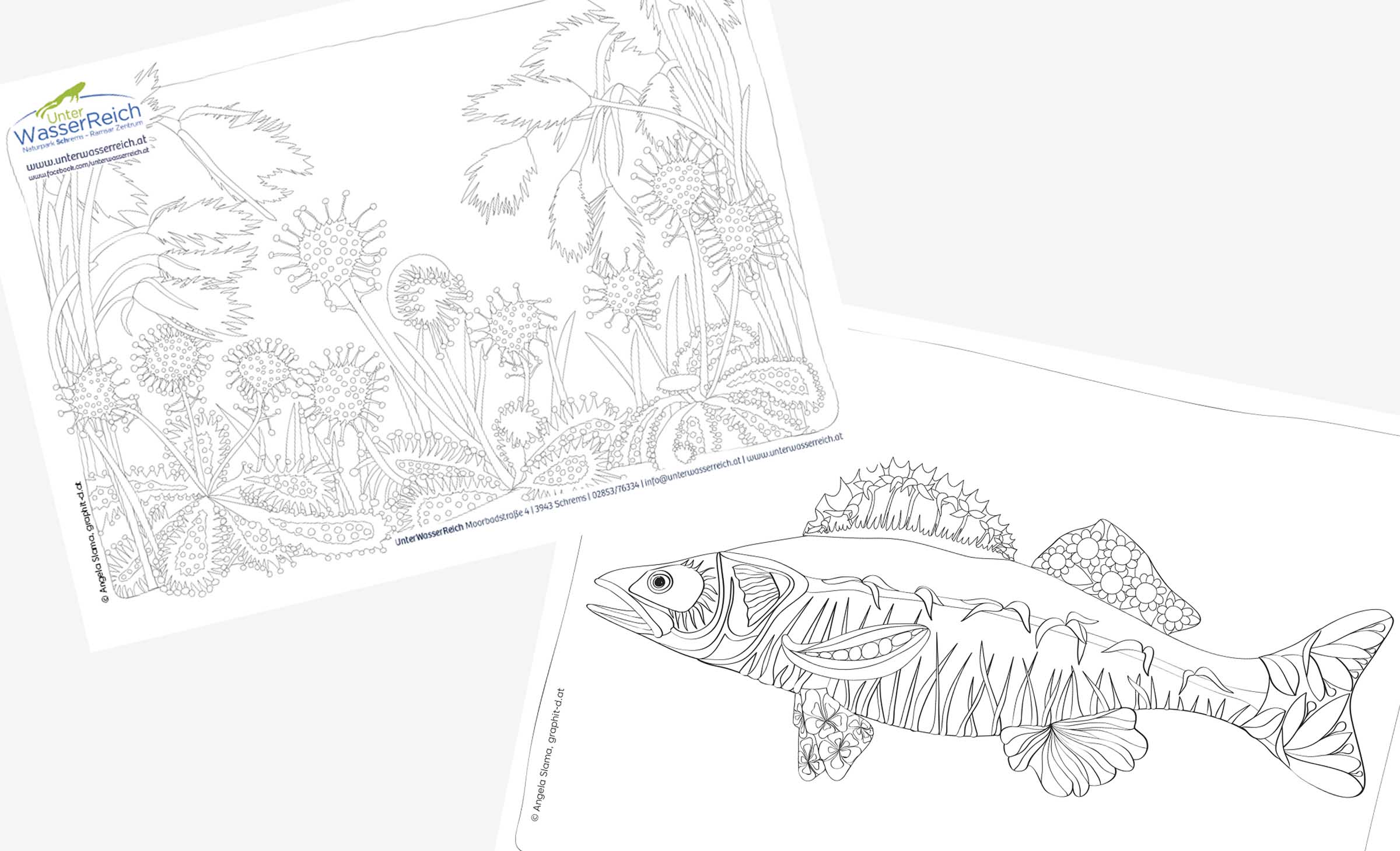 Ausmalbilder - für die BesucherInnen des Unterwasserreichs
