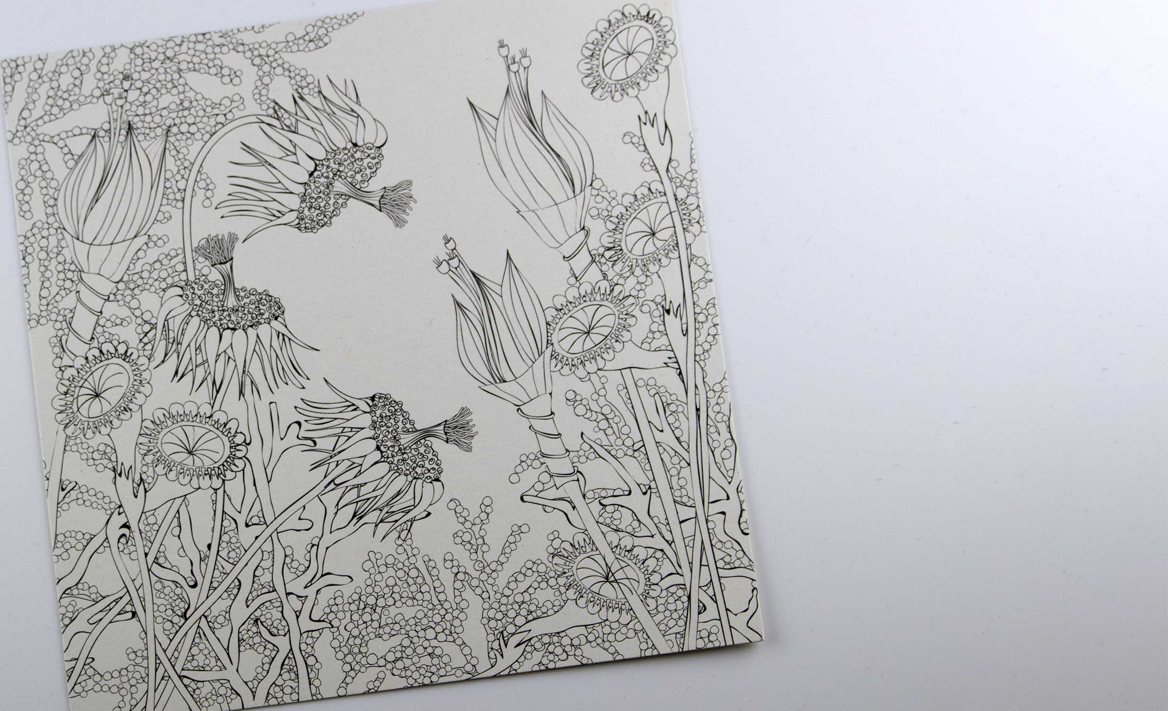 Wunderblumen Postkarten von graphit-d